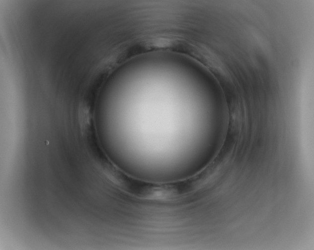 X0000112390555200908131551