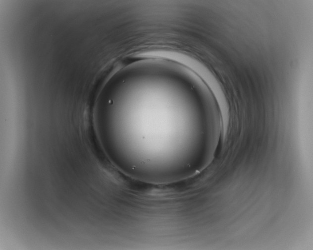 X0000112390556200908131551