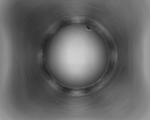 X0000112390557200908131551