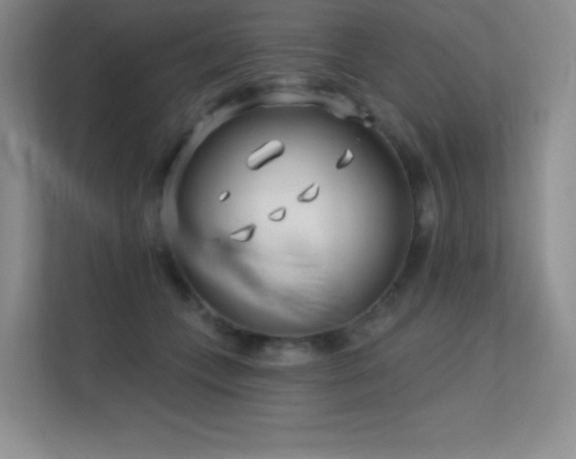 X0000112390559200908131551