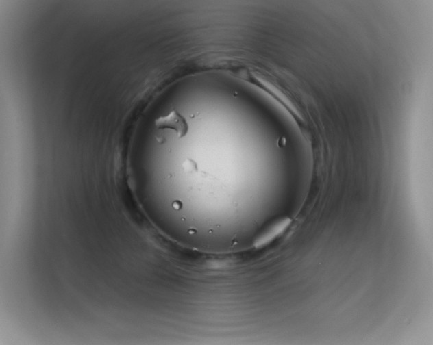 X0000112390560200908131551