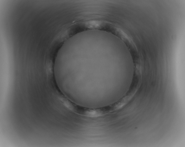 X0000112390561200908131551