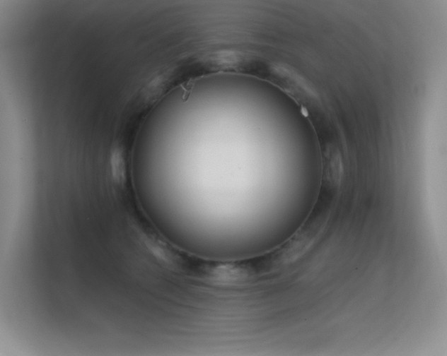 X0000112390562200908131551