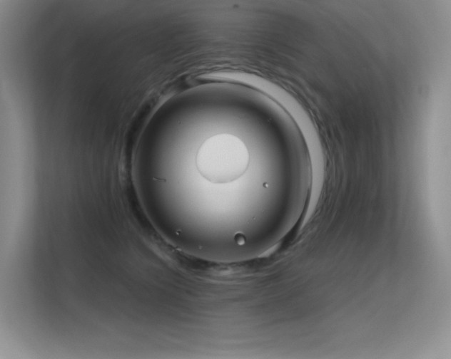 X0000112390564200908131551