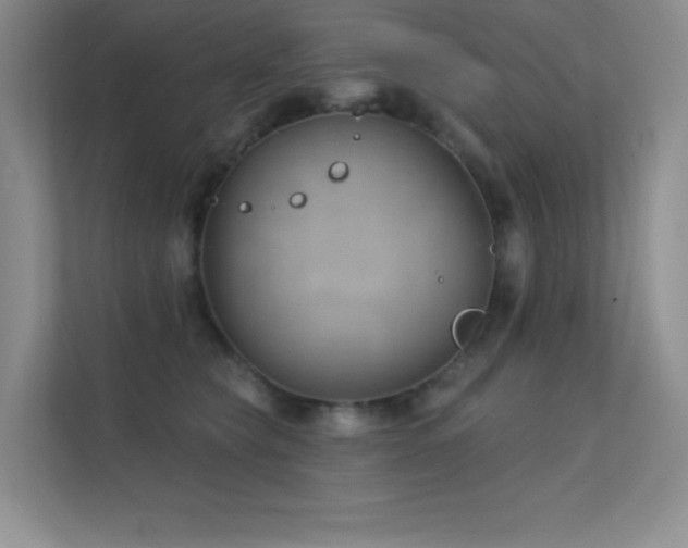 X0000112390565200908131551