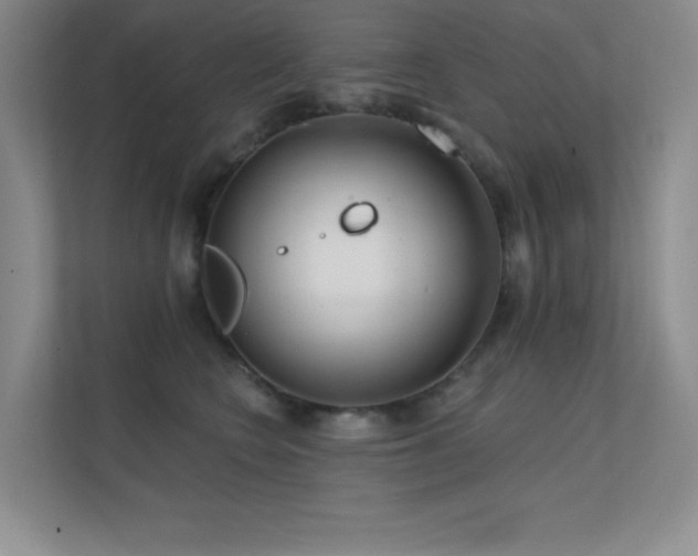 X0000112390566200908131551