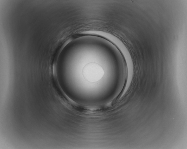 X0000112390568200908131551