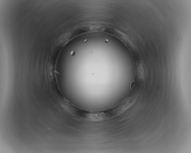 X0000112390571200908131551