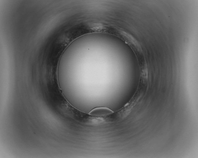 X0000112390572200908131551