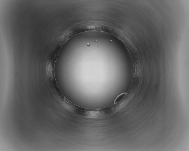 X0000112390575200908131551