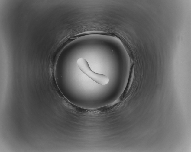 X0000112390576200908131551