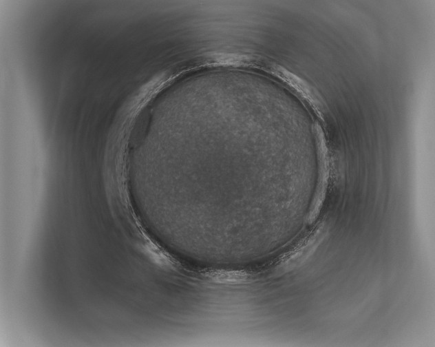 X0000112390577200908131551