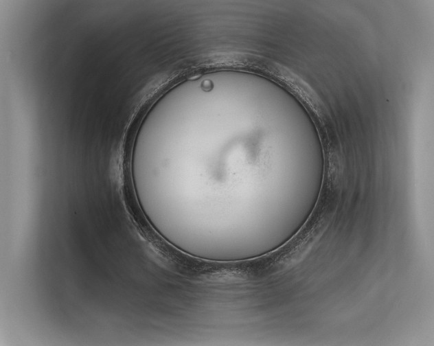 X0000112390578200908131551