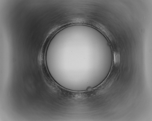 X0000112390579200908131551