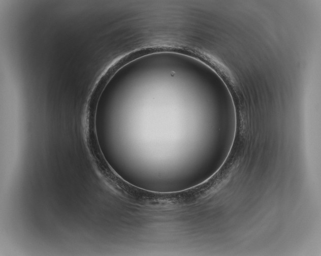 X0000112390580200908131551