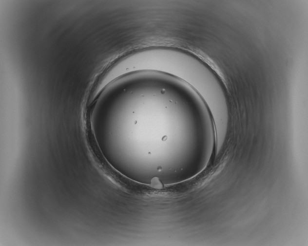 X0000112390581200908131551