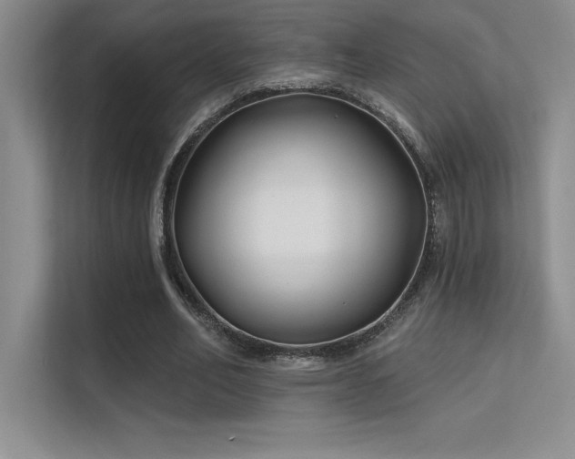 X0000112390582200908131551