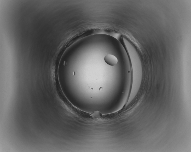 X0000112390585200908131551