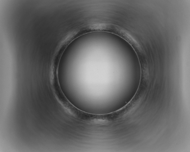 X0000112390586200908131551