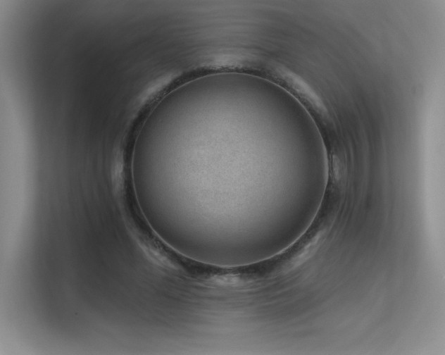 X0000112390588200908131550