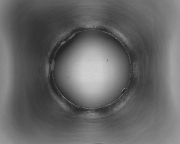 X0000112390589200908131550