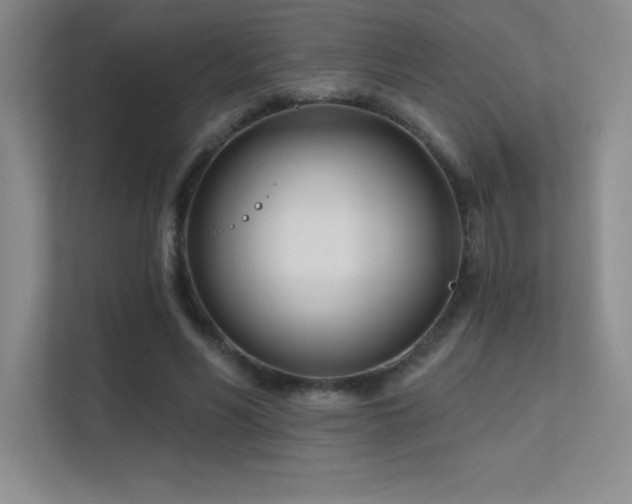 X0000112390590200908131550