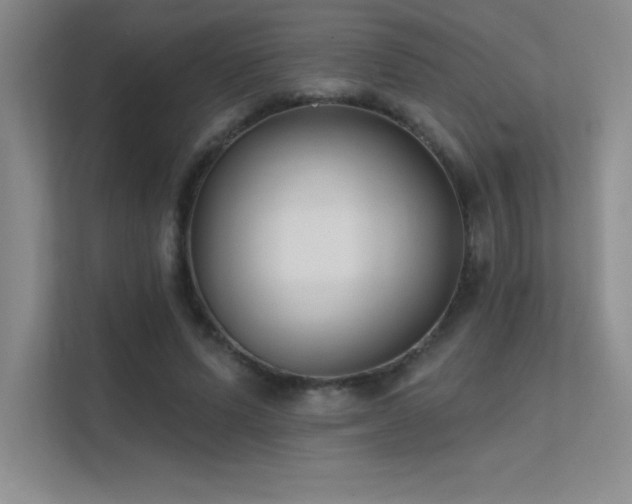 X0000112390591200908131550