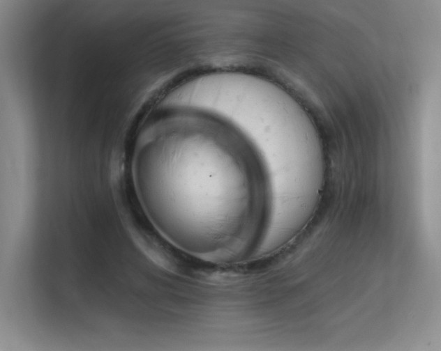 X0000112390592200908131550