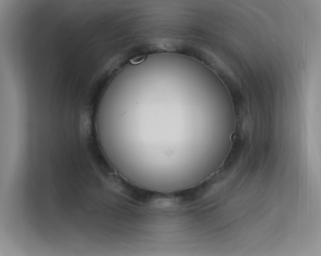 X0000112390595200908131550