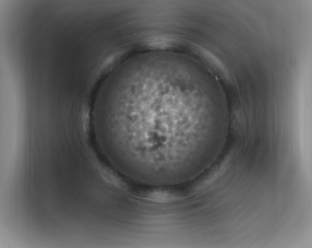 X0000112390596200908131550