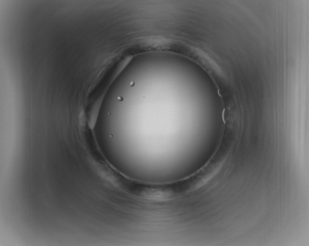 X0000112390597200908131550