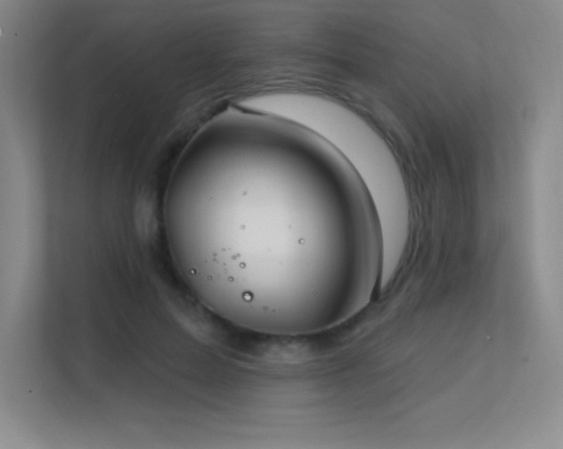 X0000112390599200908131550