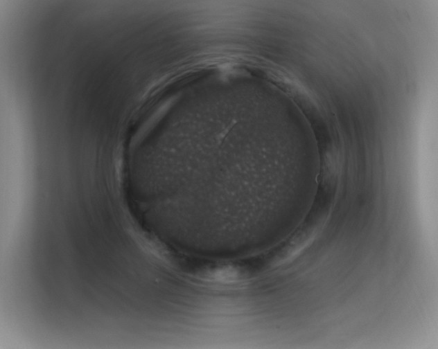 X0000112390600200908131550