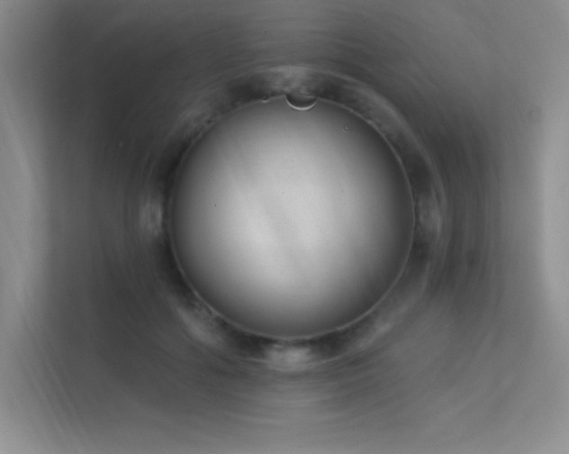 X0000112390602200908131550