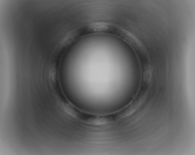 X0000112390604200908131550