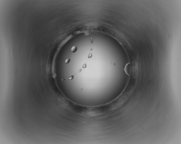 X0000112390608200908131550