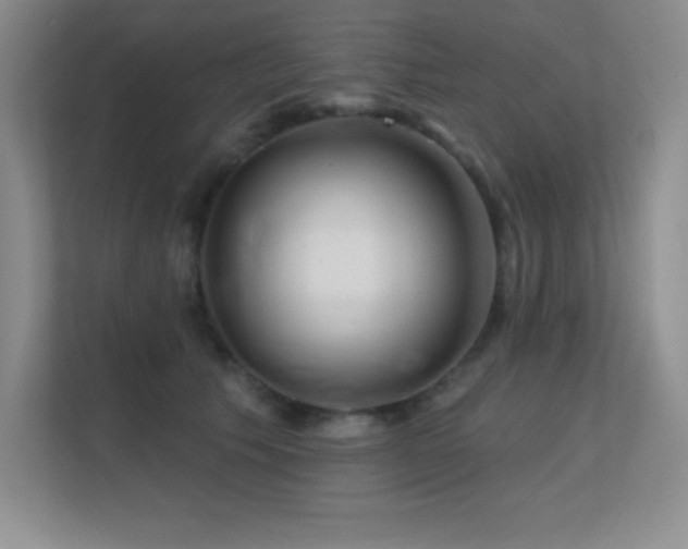 X0000112390609200908131550