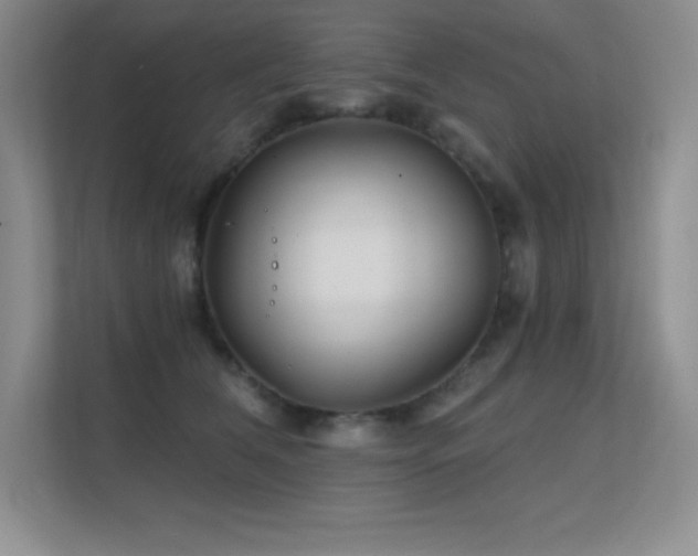 X0000112390612200908131550