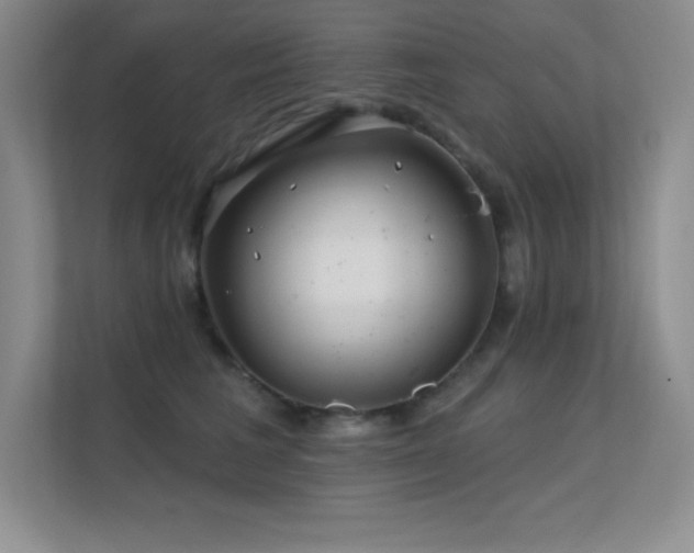 X0000112390613200908131550