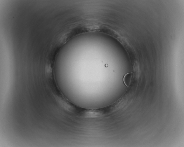 X0000112390614200908131550