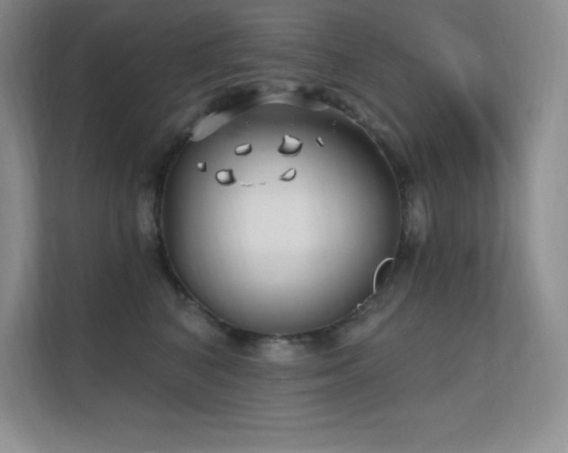 X0000112390616200908131550