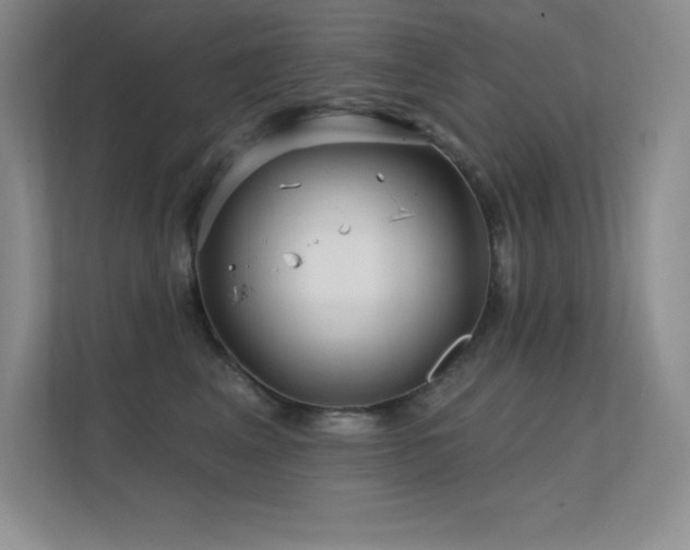 X0000112390617200908131550