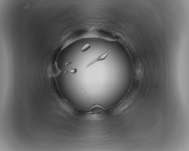 X0000112390620200908131550