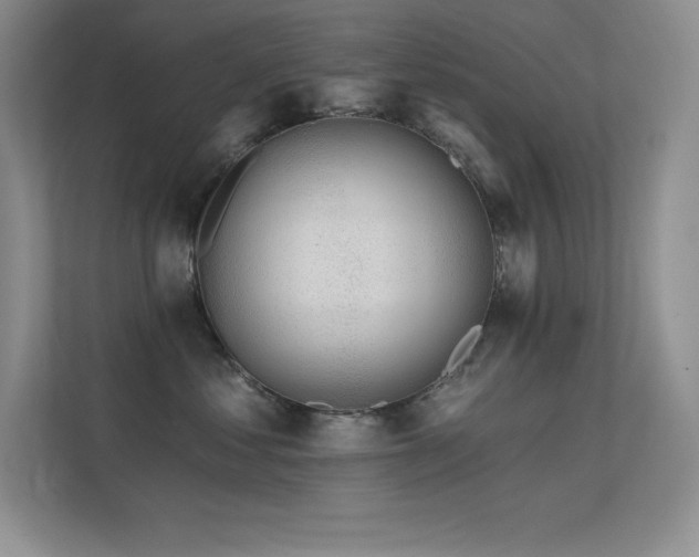 X0000112390621200908131550