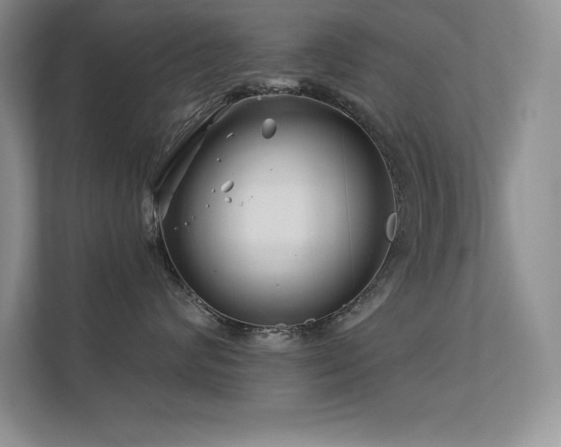 X0000112390624200908131550