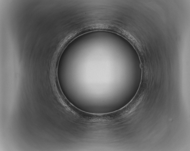 X0000112390625200908131549