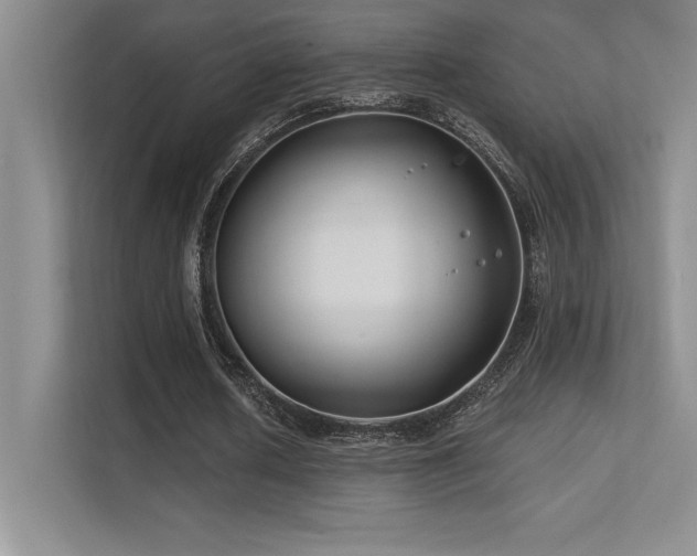 X0000112390626200908131549