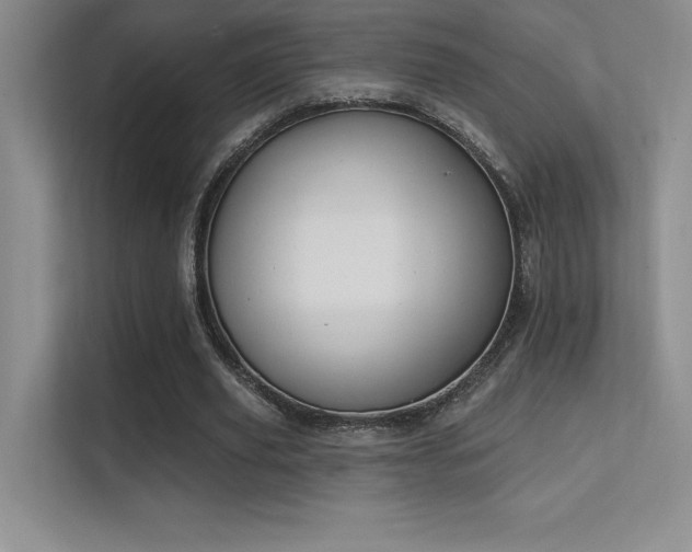 X0000112390629200908131549