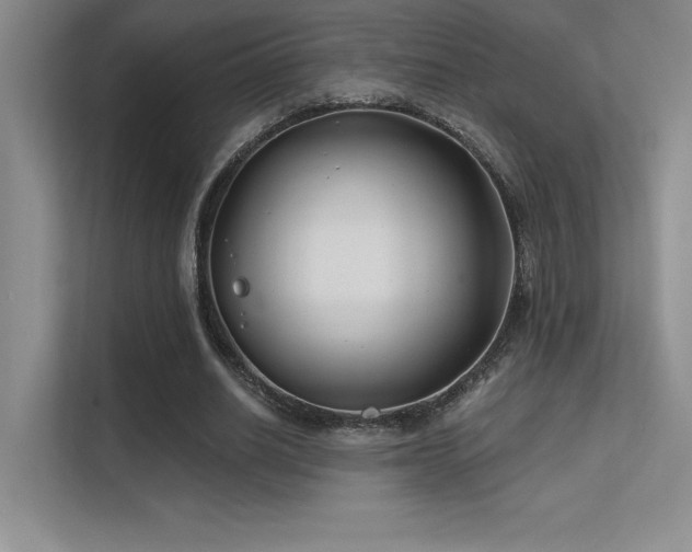 X0000112390630200908131549