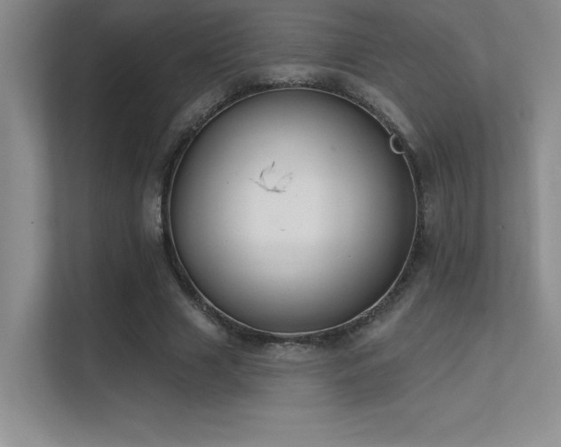 X0000112390633200908131549